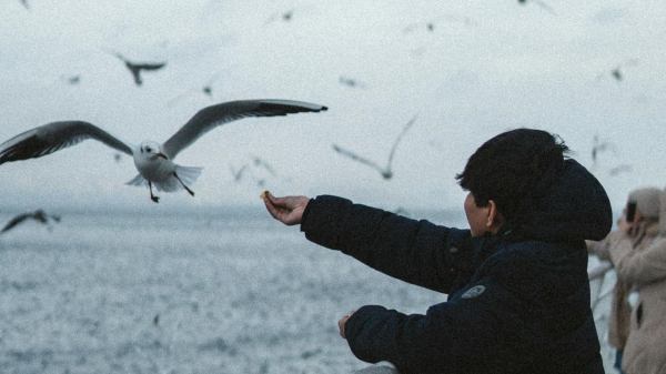 Каспий активно мелеет: назван уровень воды до 2050 года