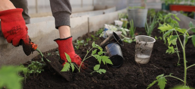 На что МТСЗН РК выдало больше всего безвозмездных грантов социально уязвимым гражданам