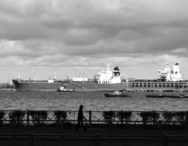 Трамп заявил о просьбе Ирана о прекращении огня