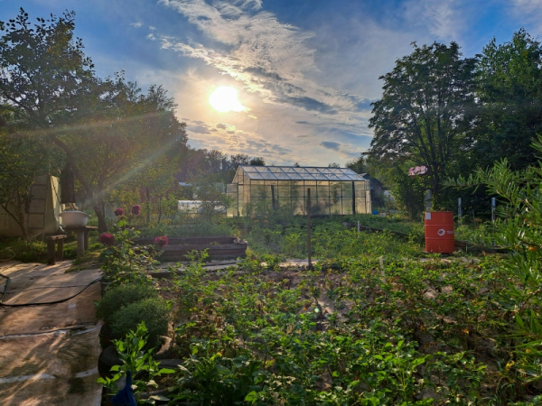 Дачи за 2&ndash;4 млн зависли: что происходит с рынком загородных участков под Екатеринбургом