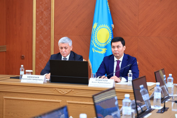 От ТЭЦ до земель: в Караганде выявили ключевые коррупционные риски