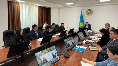 Финансирование посевной кампании и борьбу с саранчой обсудили в ходе совещания МСХ РК с регионами