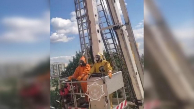 Астанчанам пришлось вызвать спасателей из-за огромного осиного гнезда в ЖК