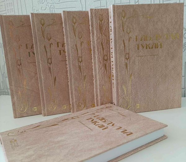 &laquo;Мирасханә&raquo;нең &laquo;Манеж&raquo;дагы бер көне яки Тукайчы галимнәр нигә җавап бирмәде?