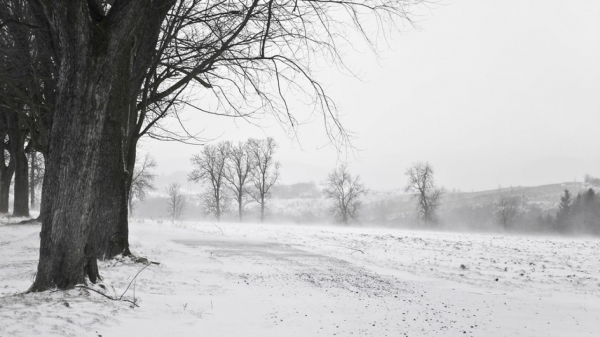 Сильная метель и снегопады: во всем Казахстане 13 декабря ухудшится погода