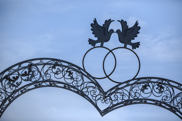 &laquo;Должно быть в&nbsp;торжественной обстановке&raquo;: Замминистра юстиции РФ&nbsp;выступил против регистрации брака в&nbsp;МФЦ