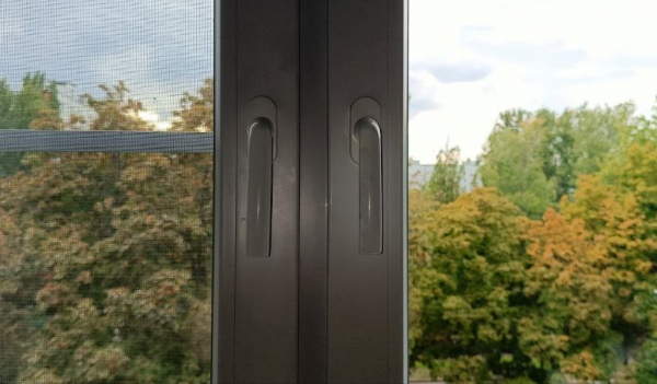 Биолог Крускоп: летучие мыши залетают в квартиры, принимая дома за пещеры