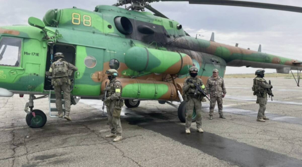 Плантации конопли нашли с помощью вертолета в области Улытау