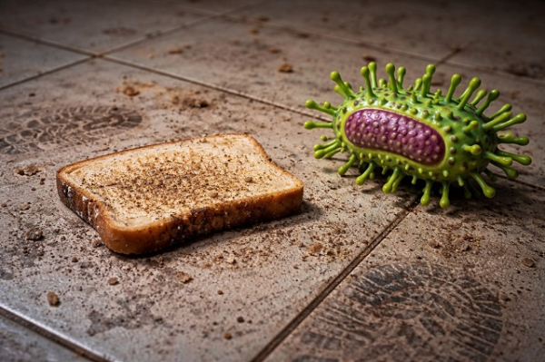 &laquo;Правило пяти секунд&raquo; не работает: татарстанцам развенчали миф о безопасности упавшей еды