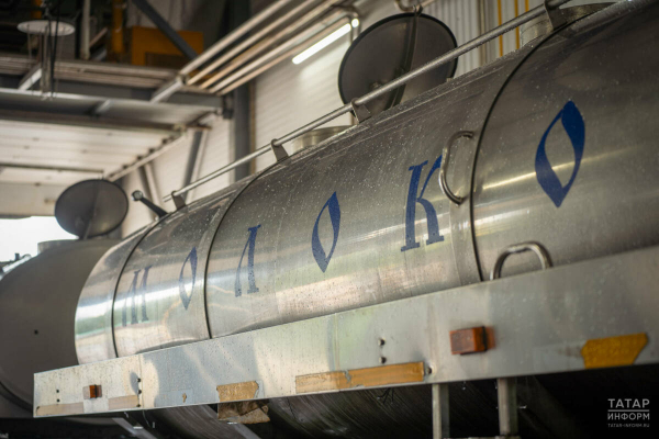 Из-за ценовых колебаний запасы молочной продукции на складах в РТ выросли на 35%