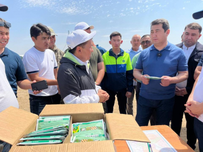 2500 человек задействованы в мероприятиях по борьбе с саранчой в Казахстане