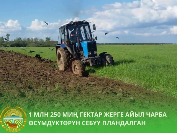 В Кыргызстане под урожай 2026 года засеют 1,25 млн гектаров земли