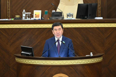 Ответы правительства на некоторые вопросы прозвучали неубедительно - Ерлан Кошанов