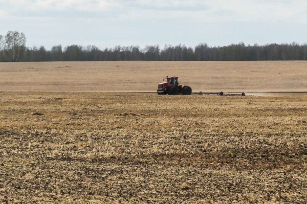 Аграрии Рязанской области нарастили производство на 10,8%