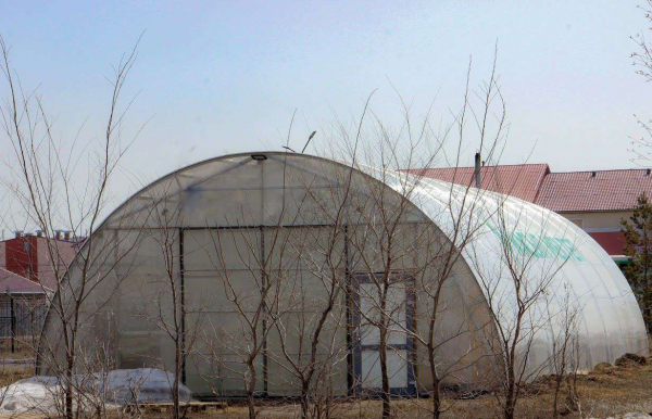 Теплицу для&nbsp;школьников построили в&nbsp;селе