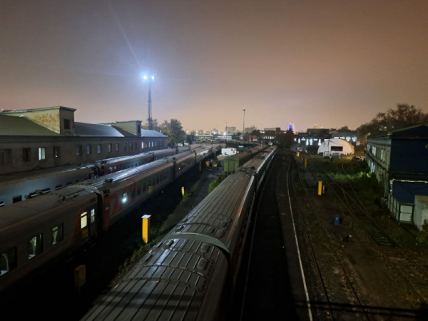Двоих подростков в Петербурге поймали за занятием зацепингом