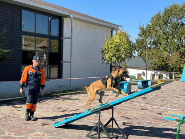 В Казахстане усиливается система подготовки кинологических расчётов МЧС