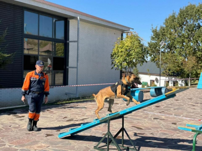 В Казахстане усиливается система подготовки кинологических расчётов МЧС