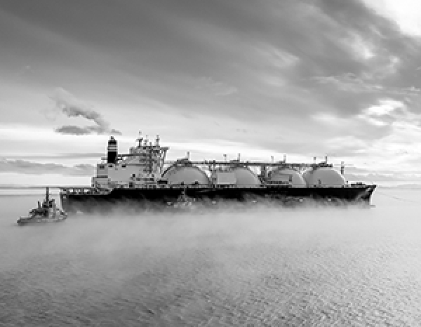 Сын Жириновского рассказал о последних желаниях политика перед смертью