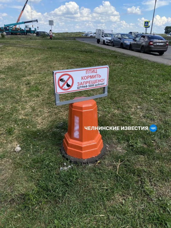 В Челнах люк накрыли бетонным конусом из-за любителей кормить птиц