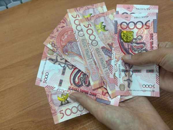 На балансе ТОО &quot;КУВА&quot; находится 254 актива на сумму 90,3 млрд тенге