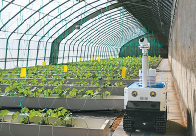 Сельское хозяйство улучшается благодаря цифровым инструментам