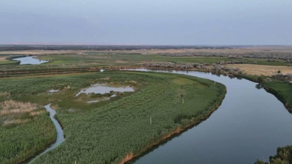 1,5 млрд кубометров воды направили по реке Шу в Созакский район Туркестанской области