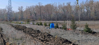 Лесной питомник открыли в Семее