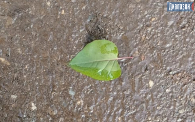 Погода в Актобе на 22-24 ноября