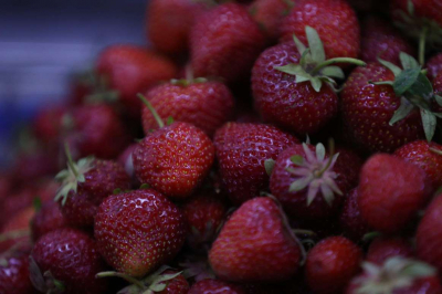 Более 1 300 тонн продукции привезут фермеры двух областей в Астану